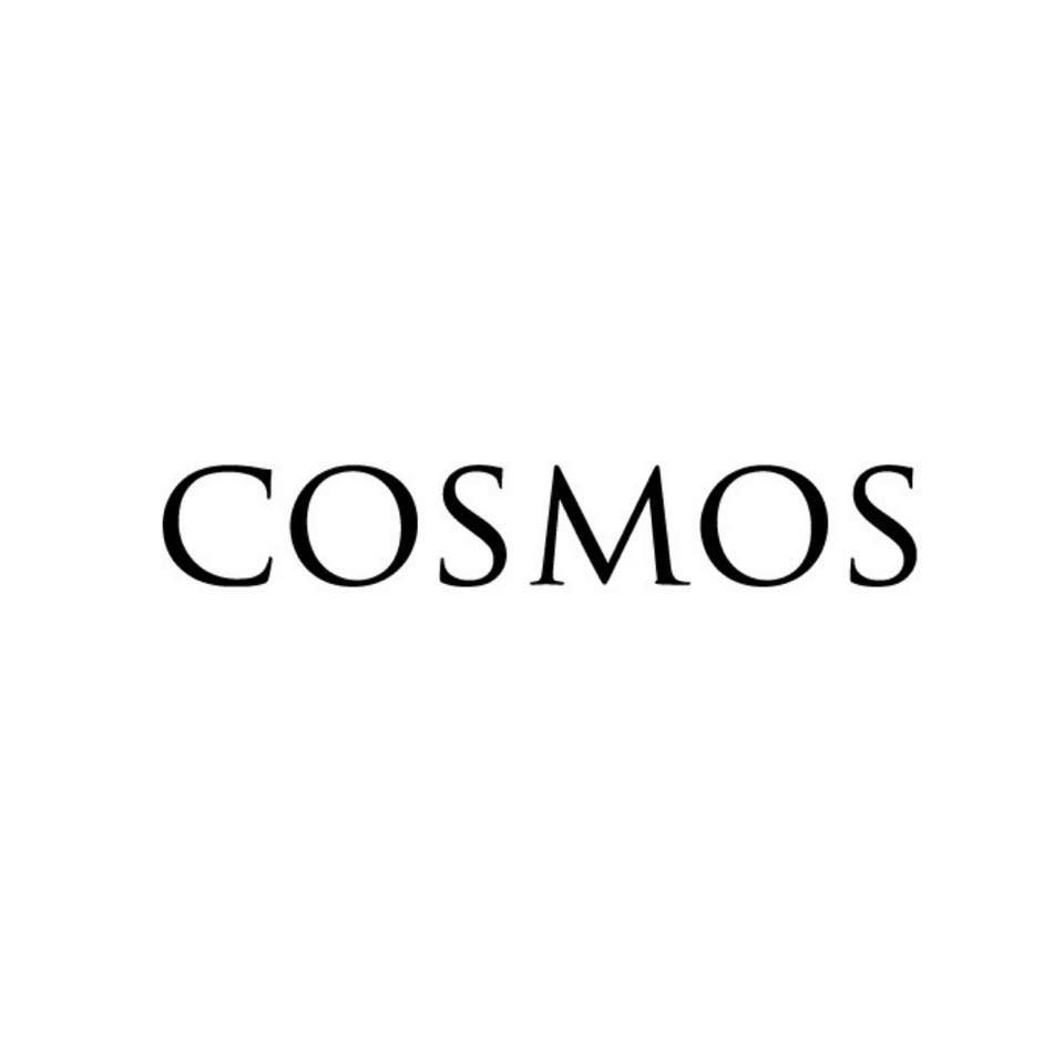 Logo Cosmos Algerie - entreprise certifiée